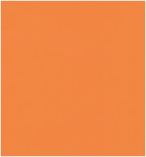 0402 ORANGE