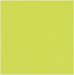 0408 LIME