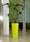 ILIE VASO GLOSS