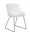 CHAIR GLOBE-K SLED