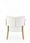 Armchair Tulip