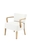Armchair Tulip