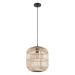 Ceiling lighting BORDESLEY 43216
