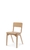 Chair Puppy