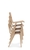 Chair Puppy