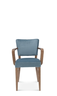 Armchair Tulip. 1