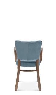 Armchair Tulip. 1