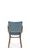 Armchair Tulip. 1