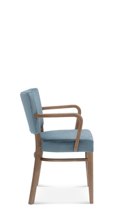 Armchair Tulip. 1