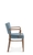 Armchair Tulip. 1