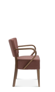 Armchair Tulip 2.