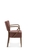 Armchair Tulip 2.