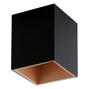 Minimalistické stropní svítidlo POLASSO 94496