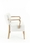 Armchair Tulip